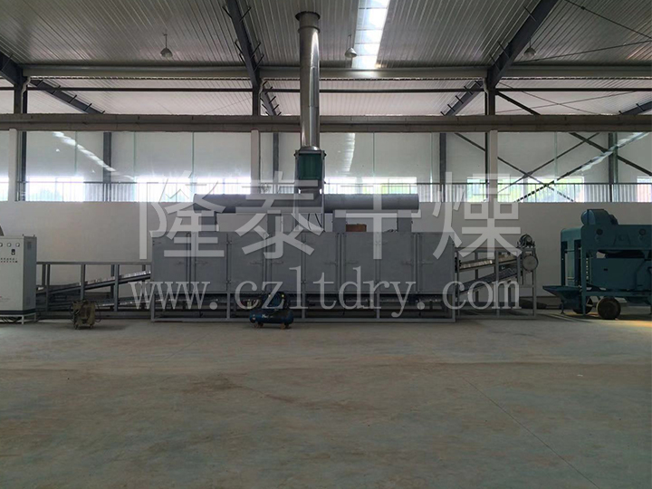 DW单层带式干燥机